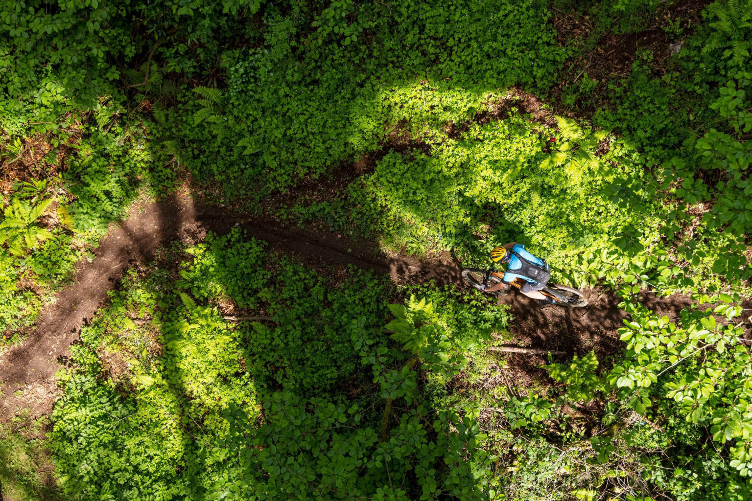 Le viaduc des Pourrhis