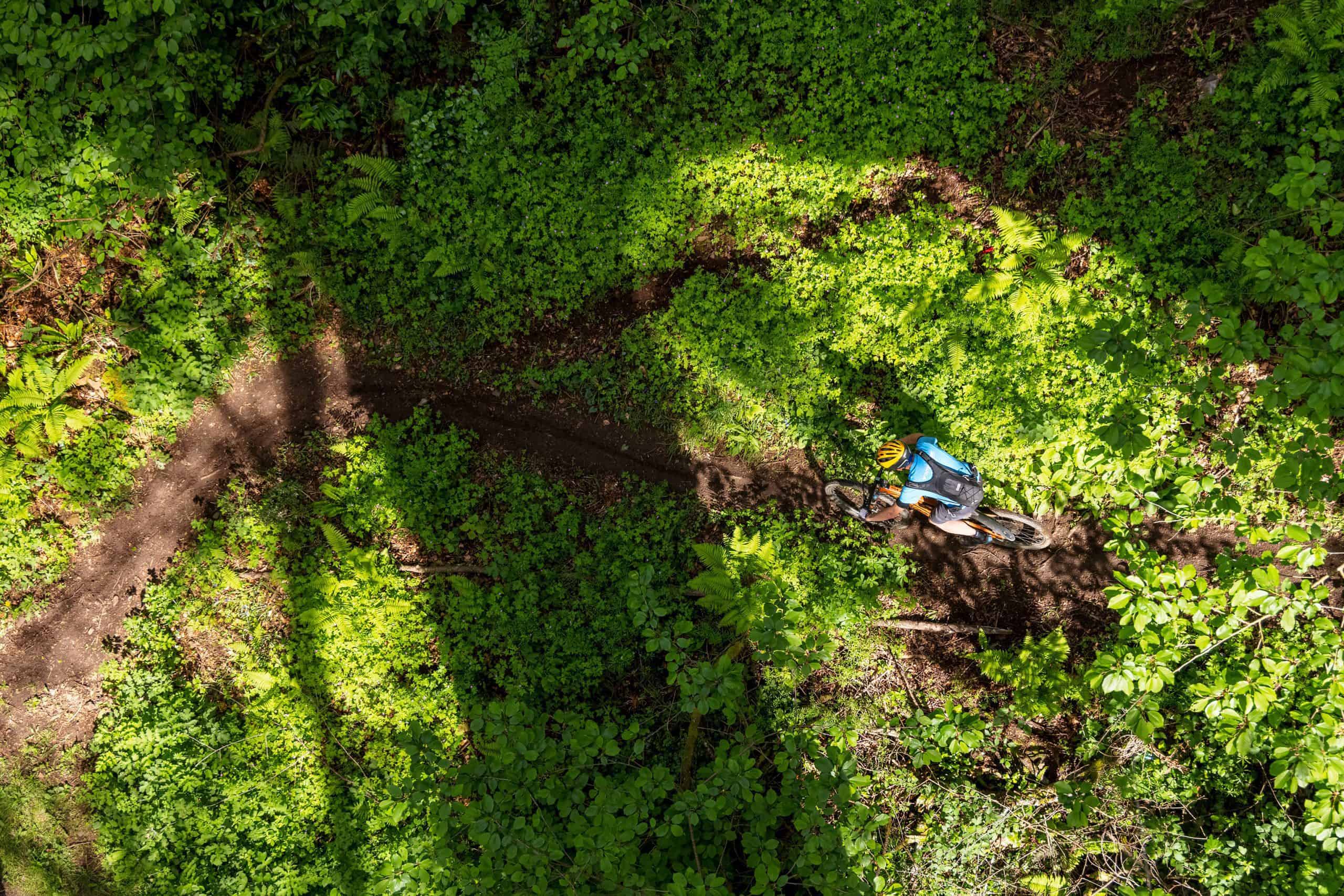 The Pourrhis viaduct